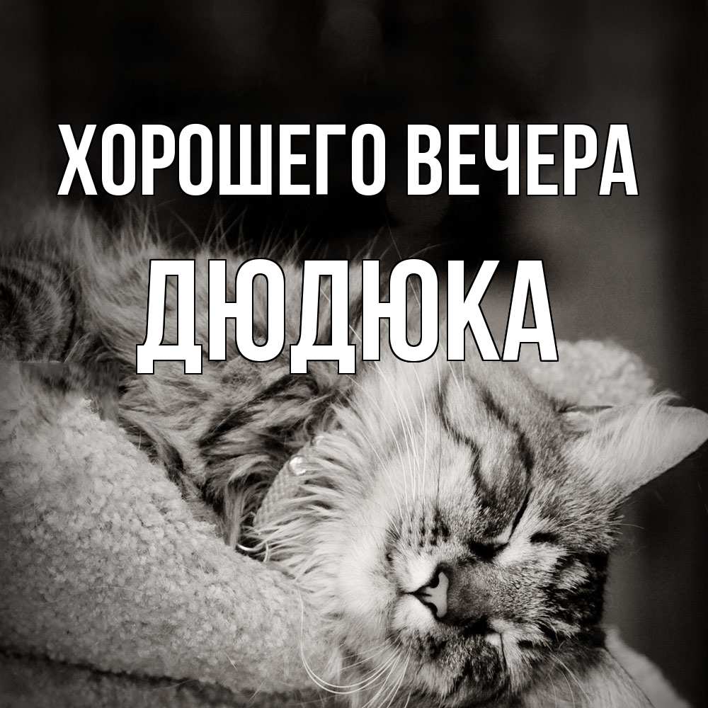 Картинка Хорошего вечера, дюдюка