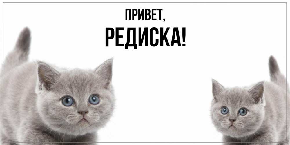 Картинка Привет, редиска