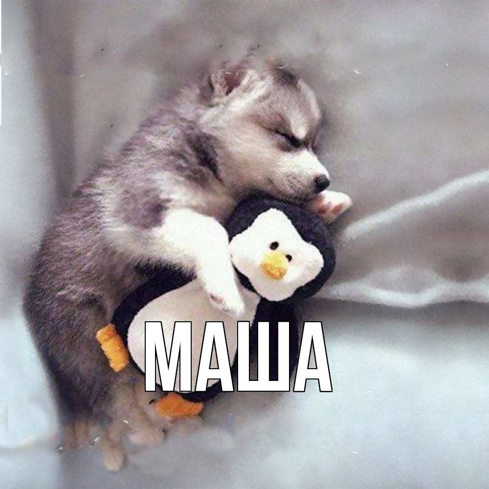 Картинка  с именем , Маша