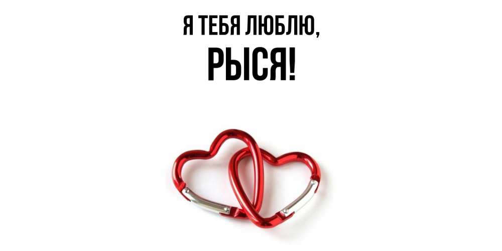 Открытка  для любимых и родных. рыся, Я тебя люблю  