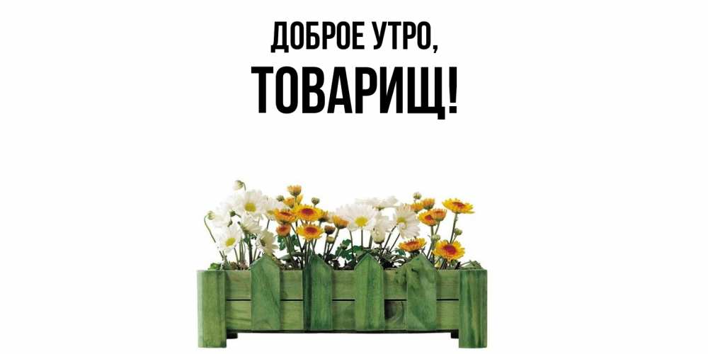 Картинка Доброе утро, Товарищ