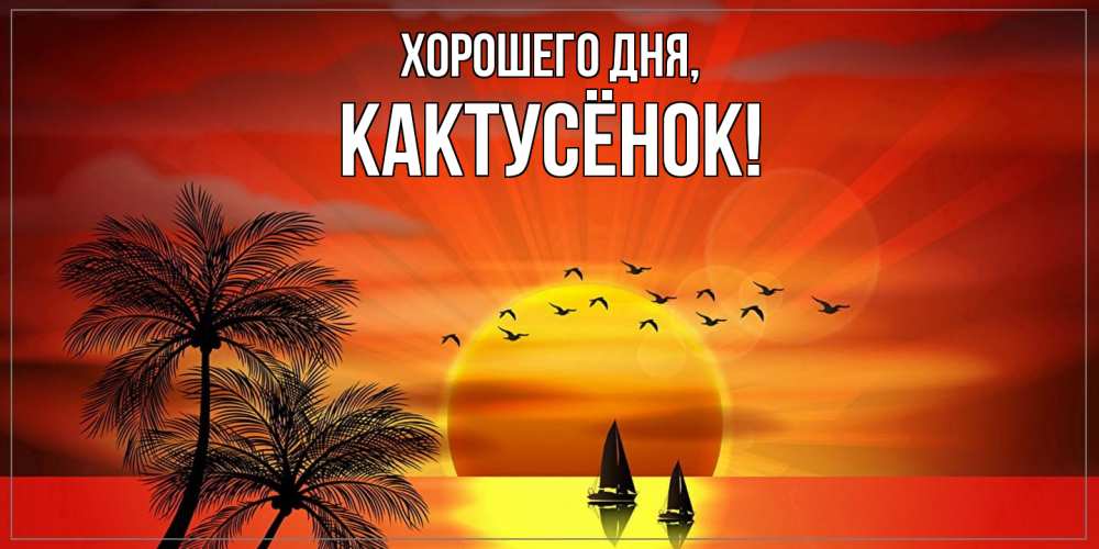 Открытка с именем, кактусёнок, Хорошего дня