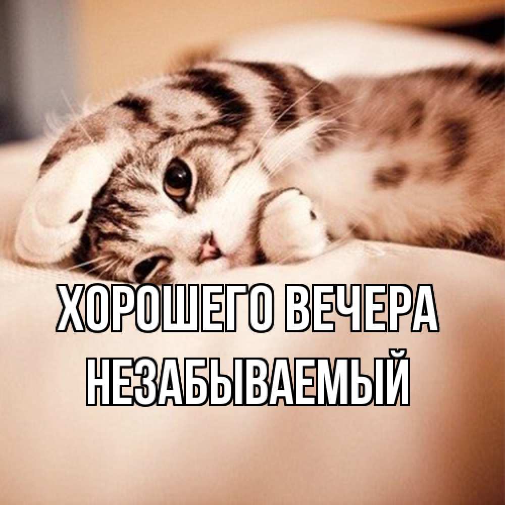 Открытка с именем, незабываемый, Хорошего вечера