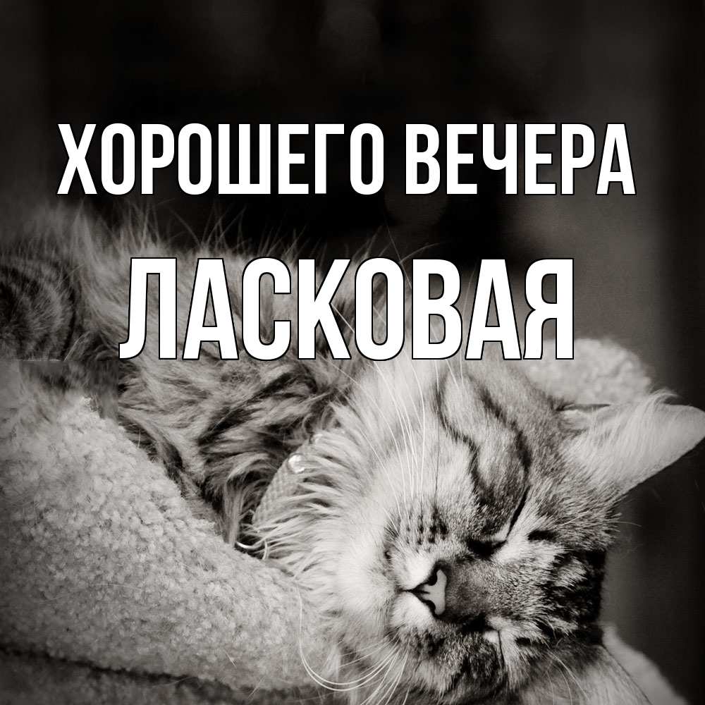 Картинка Хорошего вечера, ласковая