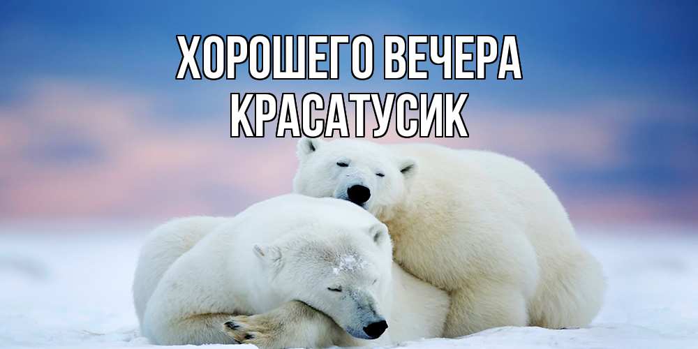Открытка  для любимых и родных. красатусик, Хорошего вечера  