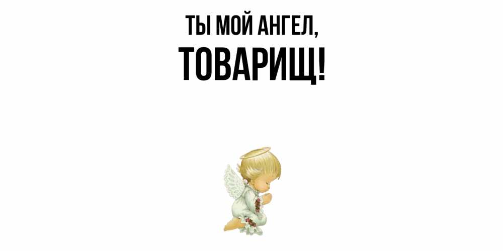 Открытка  для любимых и родных. Товарищ, Ты мой ангел  