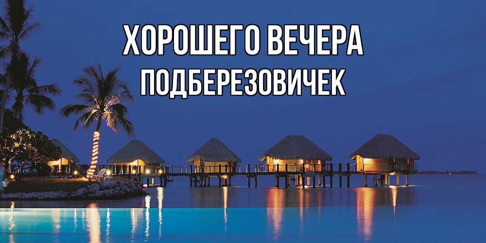 Открытка  для любимых и родных. подберезовичек, Хорошего вечера  