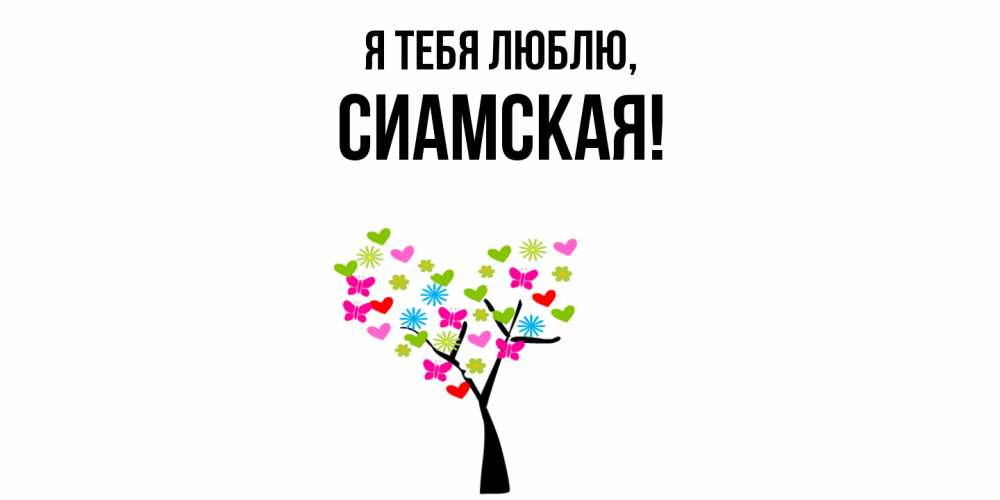 Картинка Я тебя люблю, сиамская
