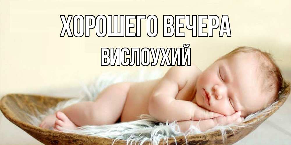 Открытка  для любимых и родных. вислоухий, Хорошего вечера  