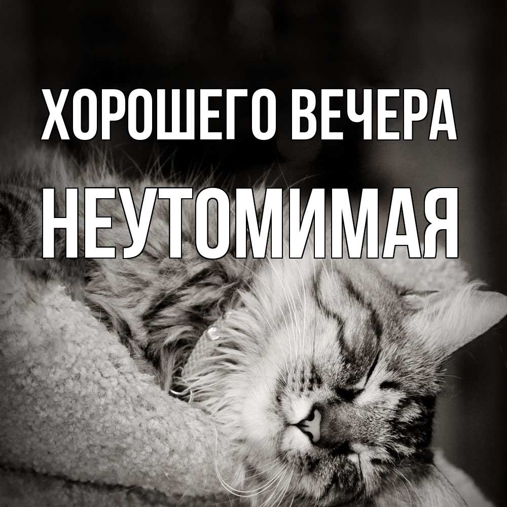 Картинка Хорошего вечера, неутомимая