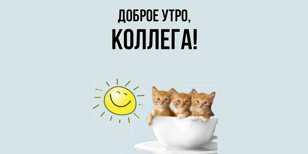 Открытка  для любимых и родных. Коллега, Доброе утро  