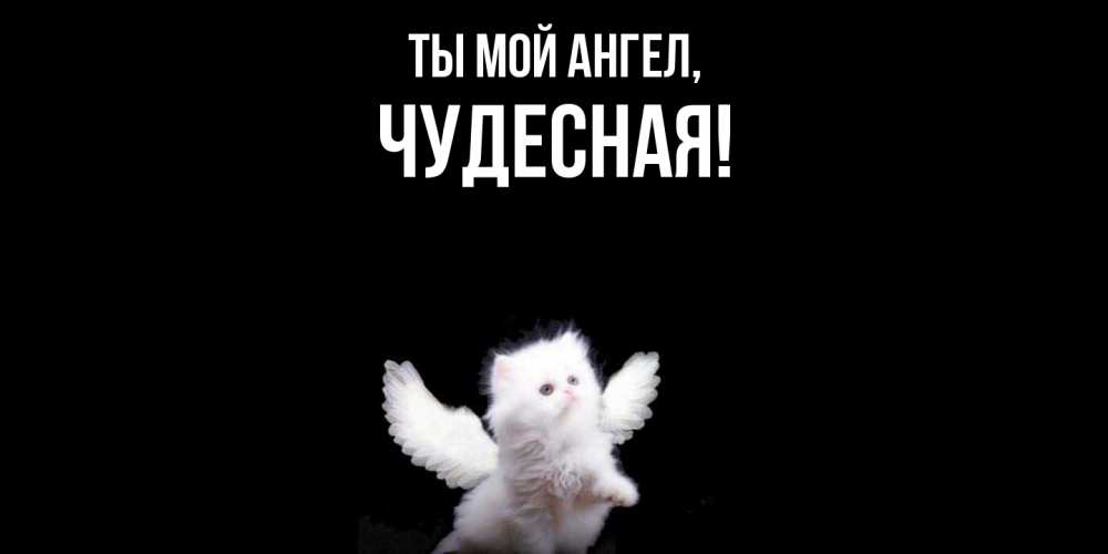 Открытка  для любимых и родных. чудесная, Ты мой ангел  
