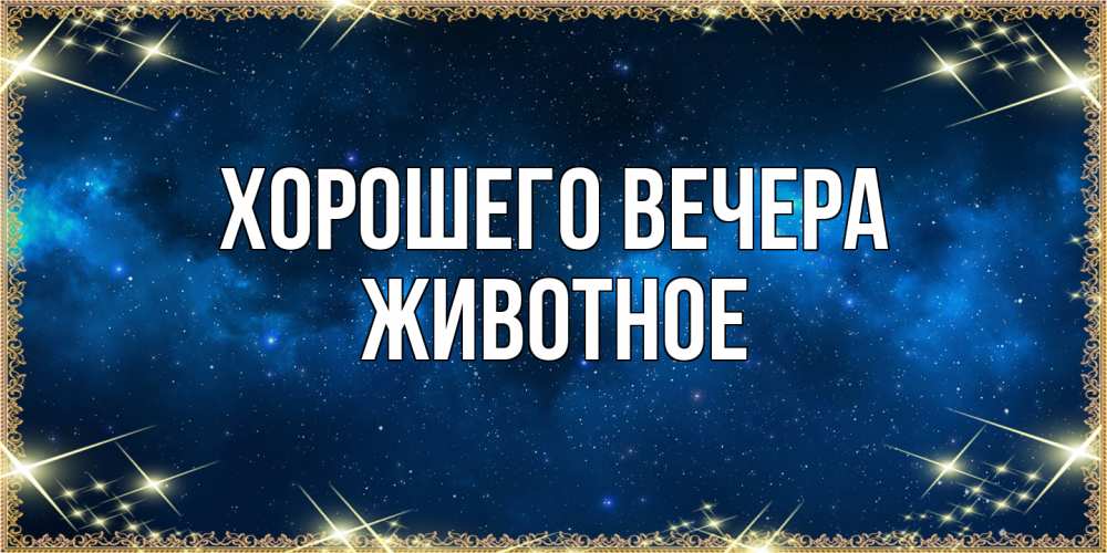 Открытка  для любимых и родных. животное, Хорошего вечера  