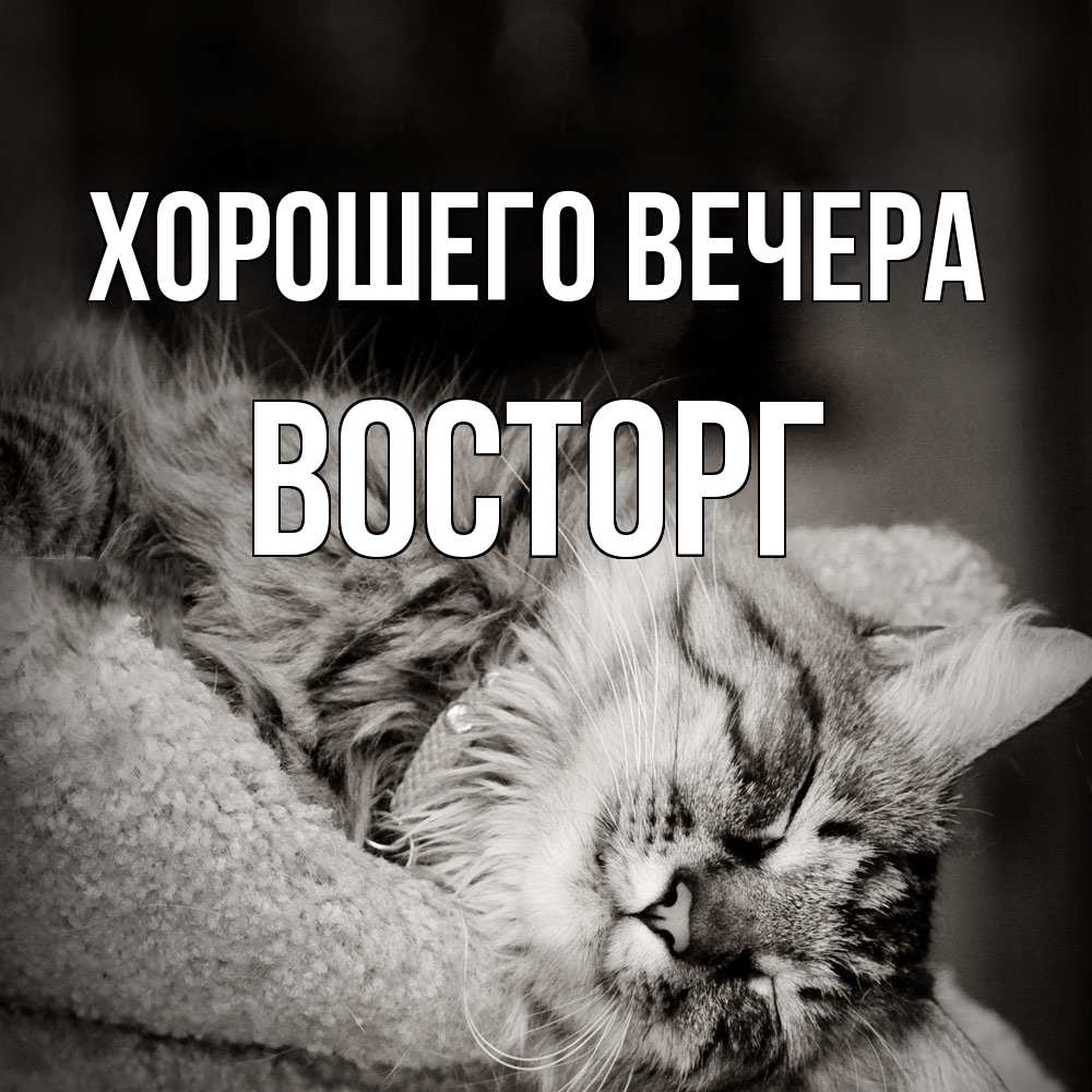 Картинка Хорошего вечера, восторг