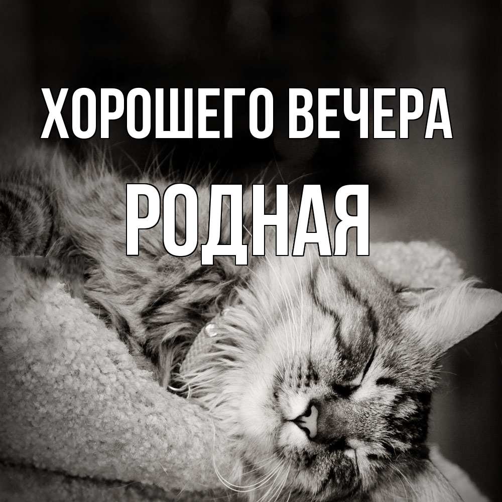 Картинка Хорошего вечера, родная