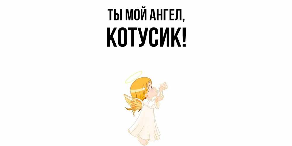 Картинка Ты мой ангел, котусик