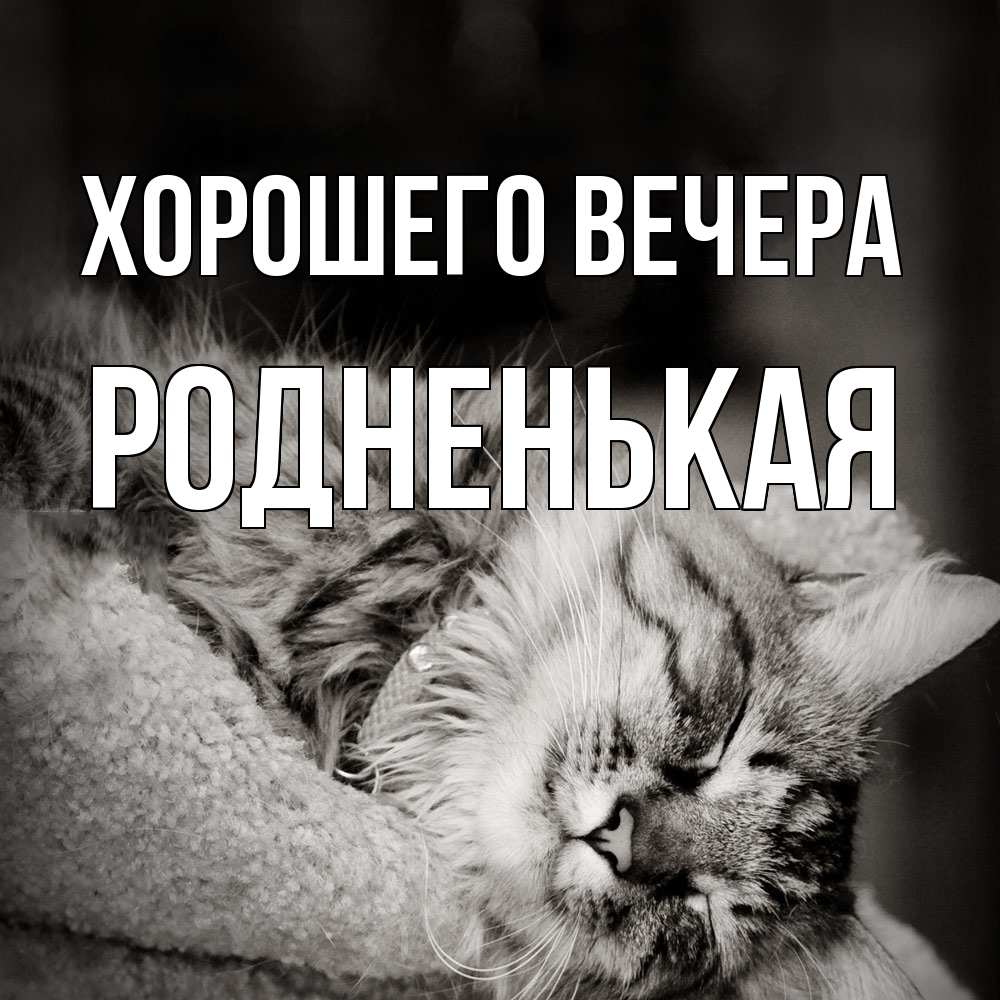 Открытка  для любимых и родных. родненькая, Хорошего вечера  