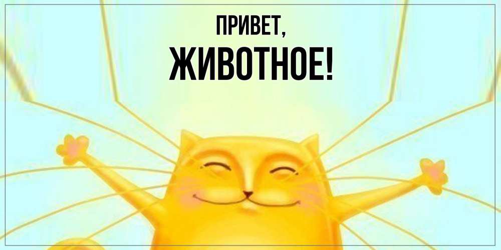 Открытка  для любимых и родных. животное, Привет  
