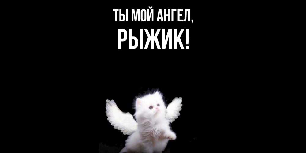 Открытка  для любимых и родных. рыжик, Ты мой ангел  