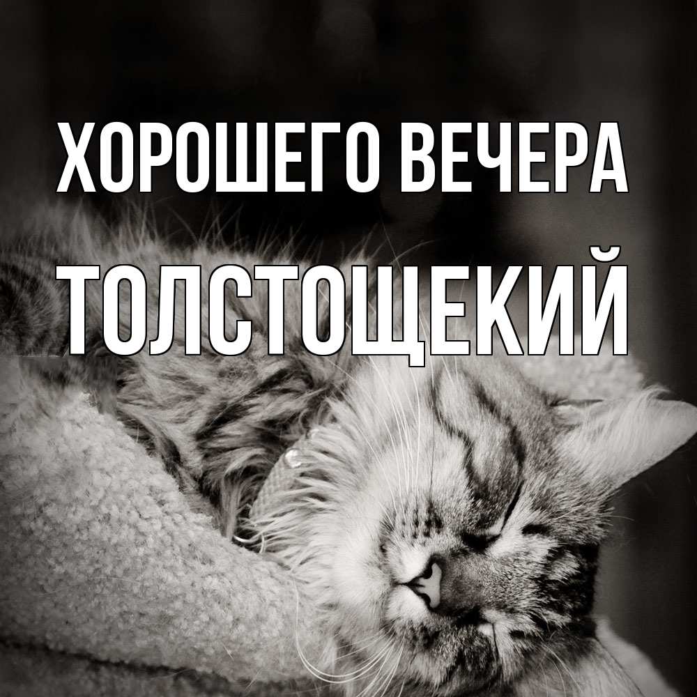 Открытка  для любимых и родных. толстощекий, Хорошего вечера  