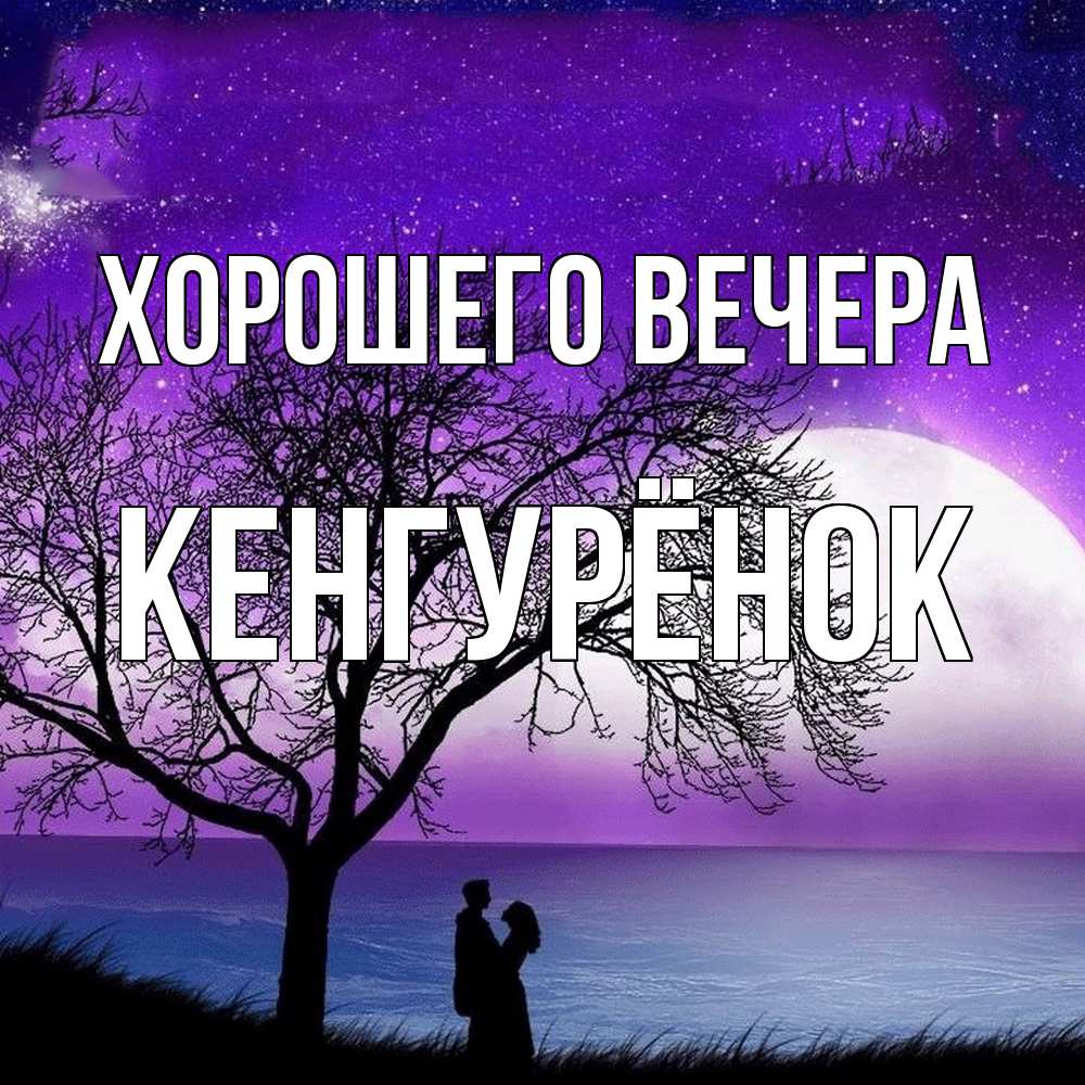 Открытка  для любимых и родных. кенгурёнок, Хорошего вечера  
