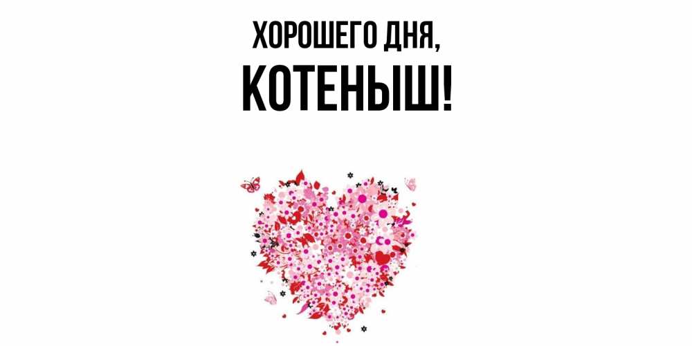 Открытка  для любимых и родных. котеныш, Хорошего дня  