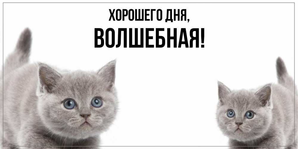 Открытка  для любимых и родных. волшебная, Хорошего дня  