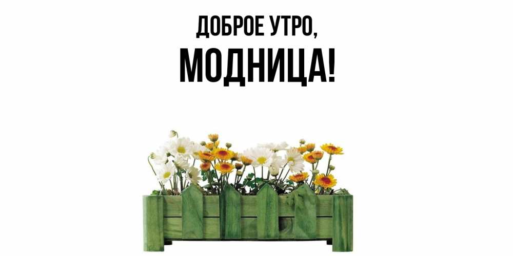 Картинка Доброе утро, модница