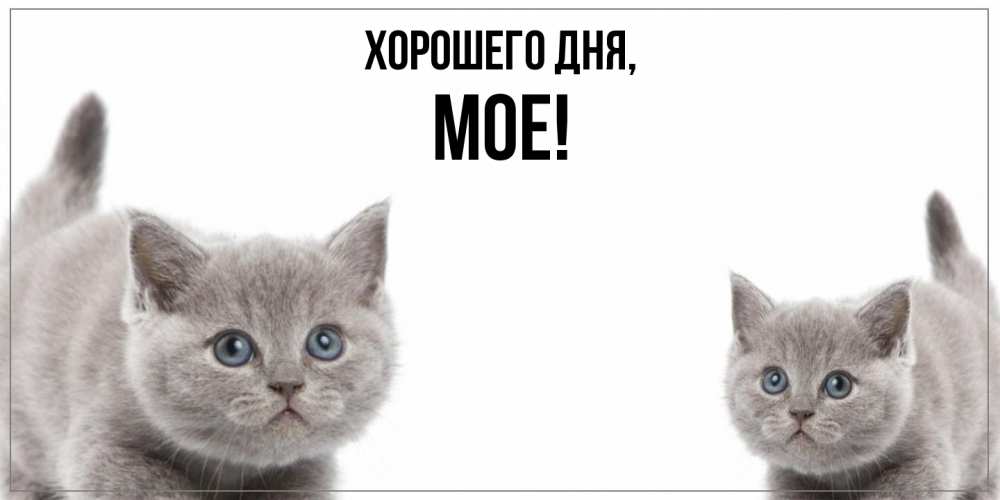 Открытка  для любимых и родных. мое, Хорошего дня  