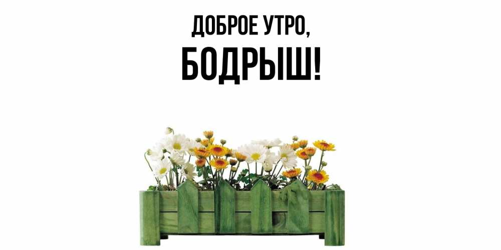Открытка  для любимых и родных. бодрыш, Доброе утро  