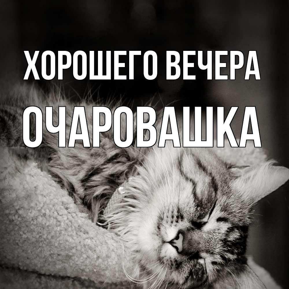 Картинка Хорошего вечера, очаровашка