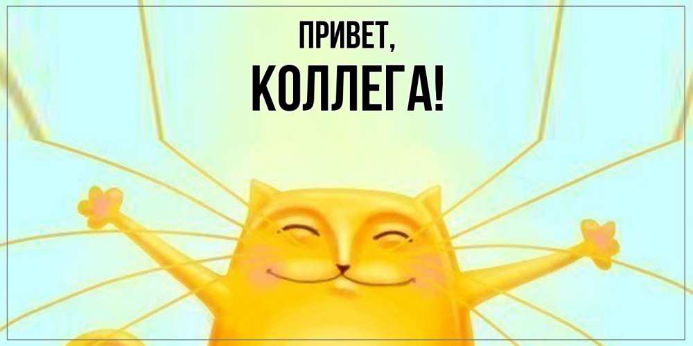 Картинка Привет, Коллега