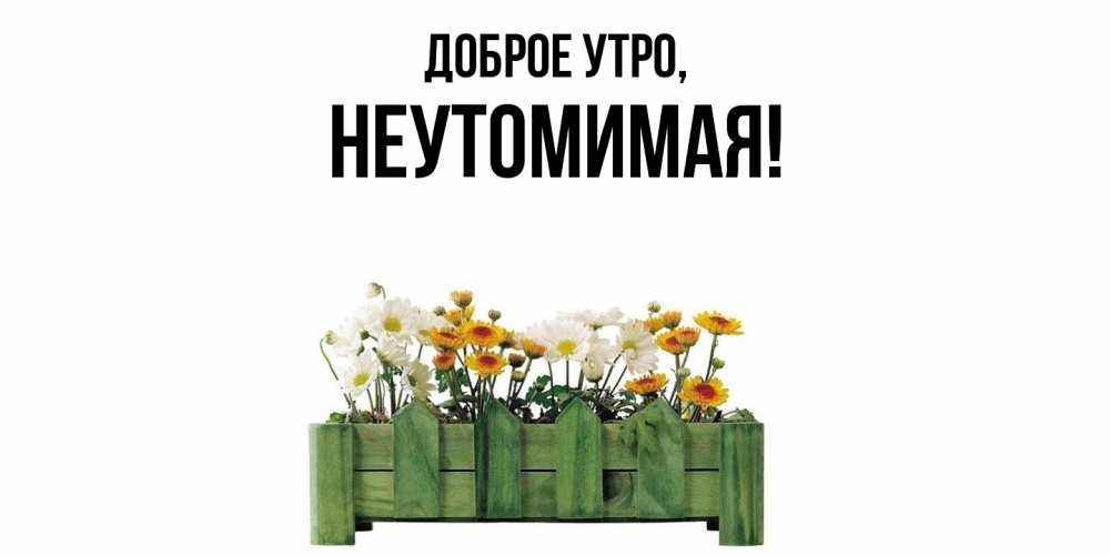 Открытка  для любимых и родных. неутомимая, Доброе утро  