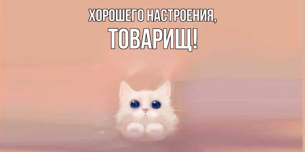 Картинка Хорошего настроения, Товарищ