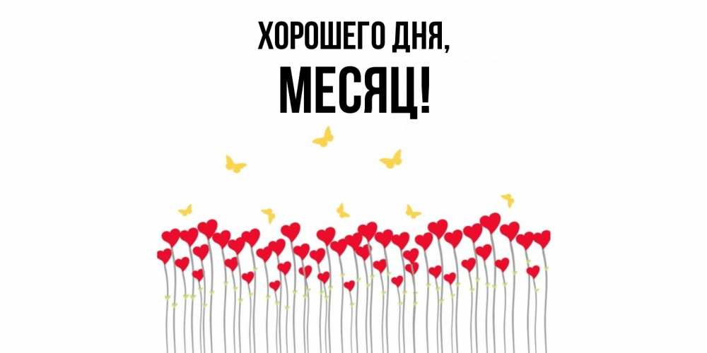Открытка  для любимых и родных. месяц, Хорошего дня  