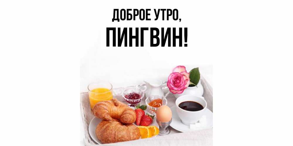 Картинка Доброе утро, пингвин