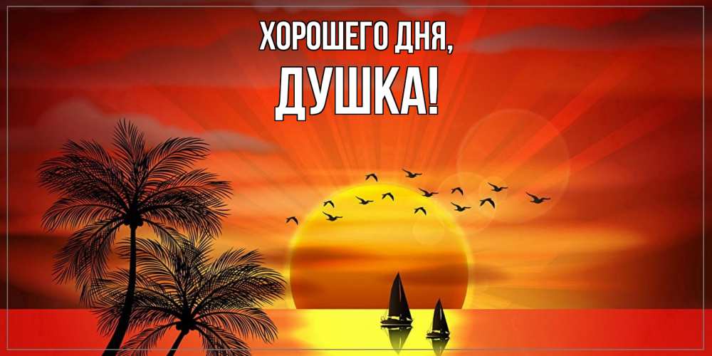 Открытка  для любимых и родных. душка, Хорошего дня  