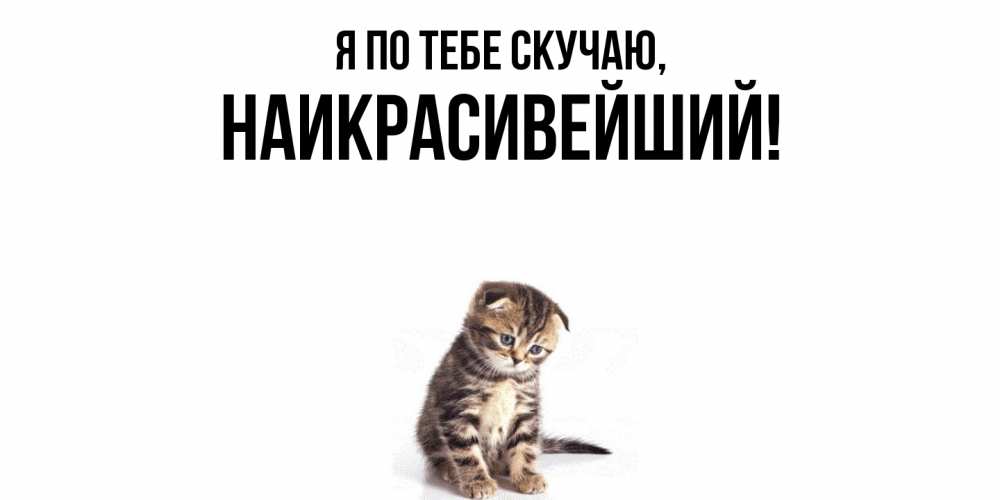 Открытка  для любимых и родных. наикрасивейший, Я по тебе скучаю  