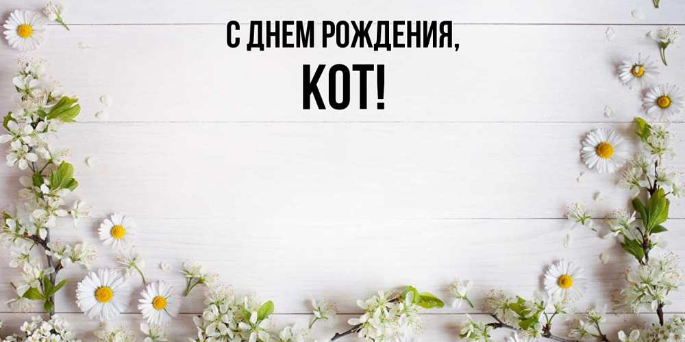 Картинка С днем рождения, кот