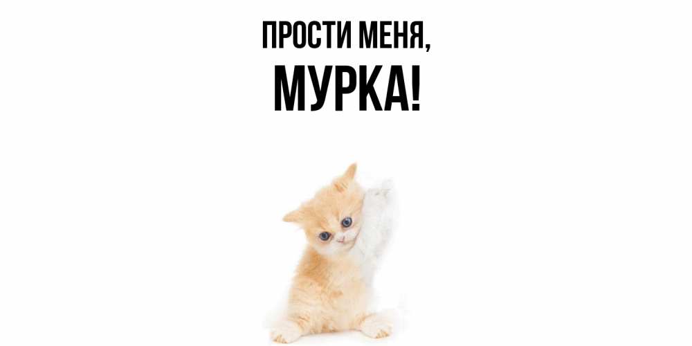 Картинка Прости меня, мурка