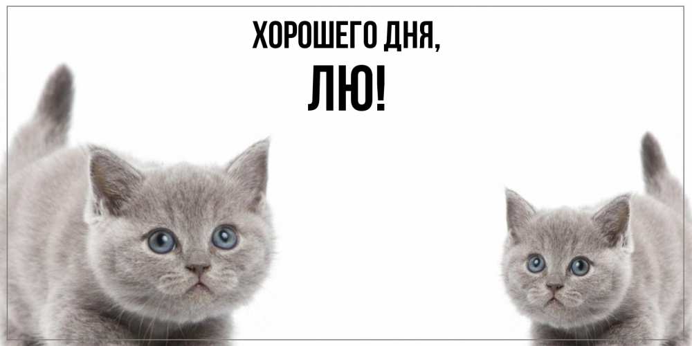 Открытка  для любимых и родных. лю, Хорошего дня  