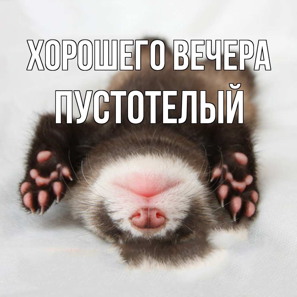 Открытка  для любимых и родных. пустотелый, Хорошего вечера  