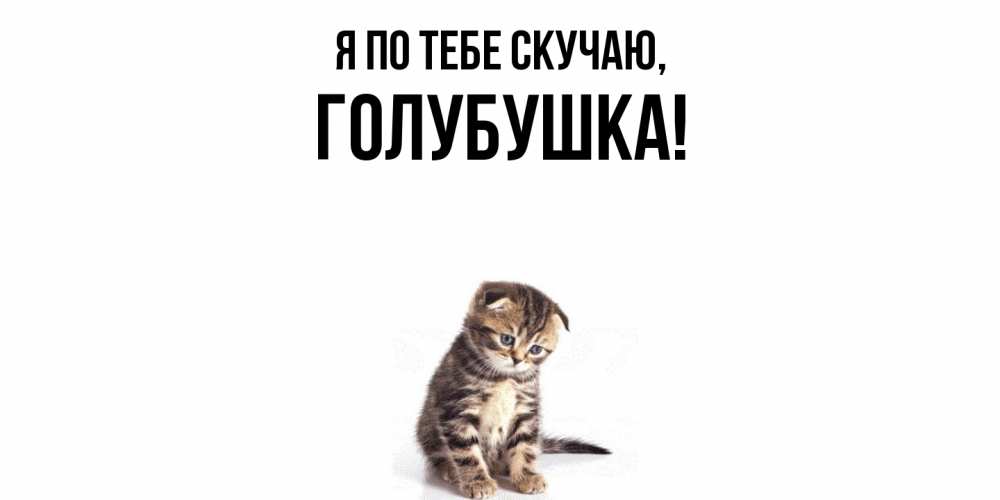 Картинка Я по тебе скучаю, голубушка