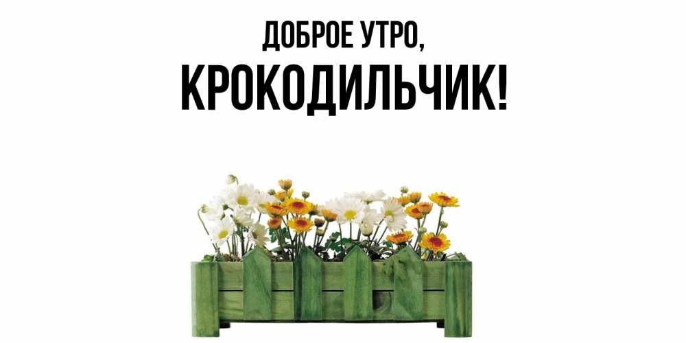Картинка Доброе утро, крокодильчик