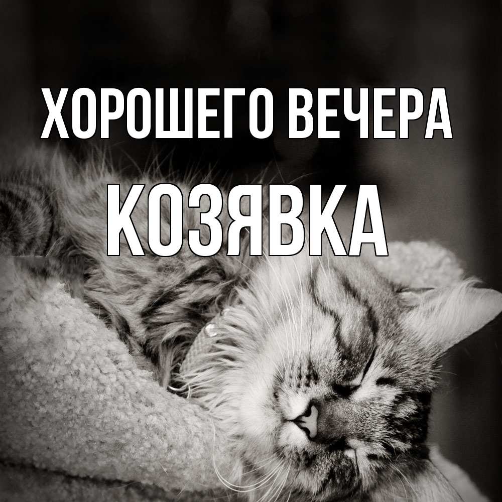 Открытка  для любимых и родных. козявка, Хорошего вечера  