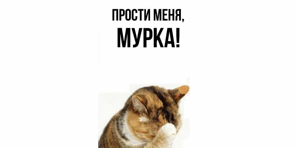 Открытка  для любимых и родных. мурка, Прости меня  
