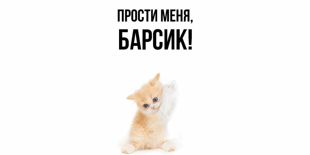 Открытка  для любимых и родных. барсик, Прости меня  