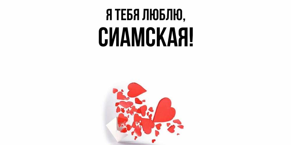 Открытка  для любимых и родных. сиамская, Я тебя люблю  