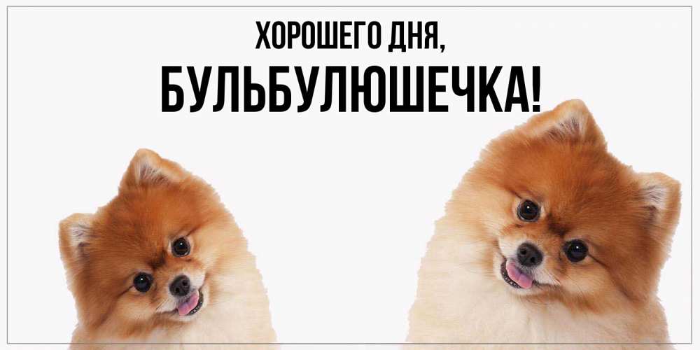 Открытка  для любимых и родных. бульбулюшечка, Хорошего дня  
