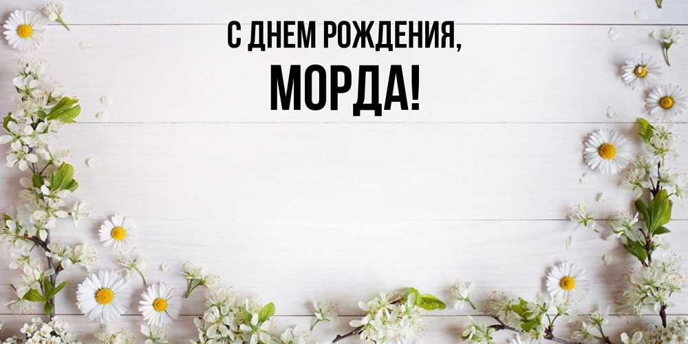 Открытка  для любимых и родных. морда, С днем рождения  